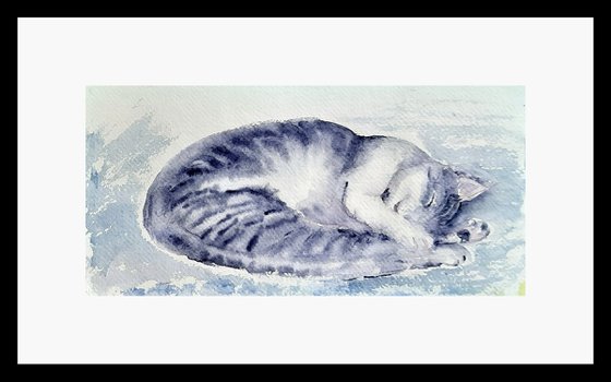 Sleeping Cat