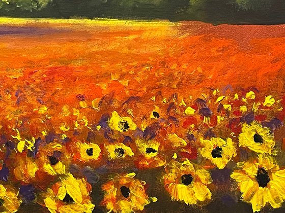 Fields Of Sunset Flowers