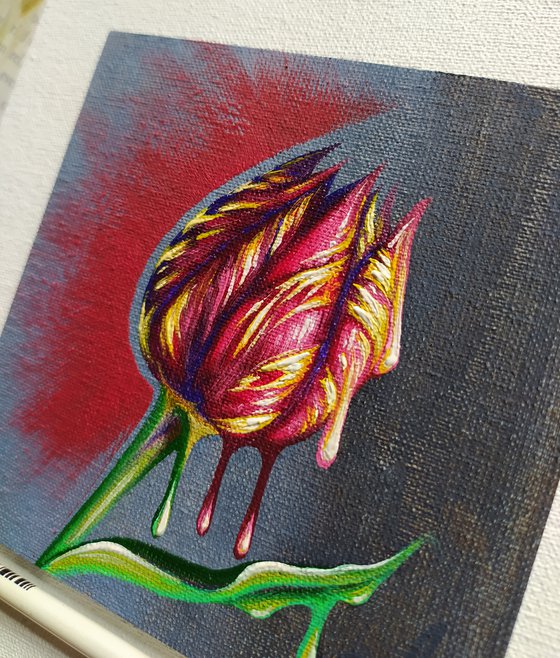 Tulip (passion)