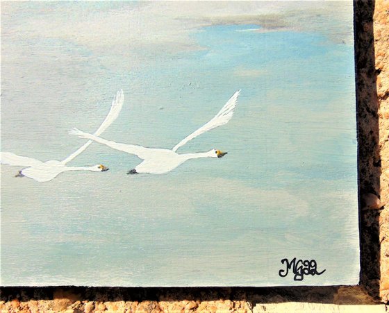 Flying Swans