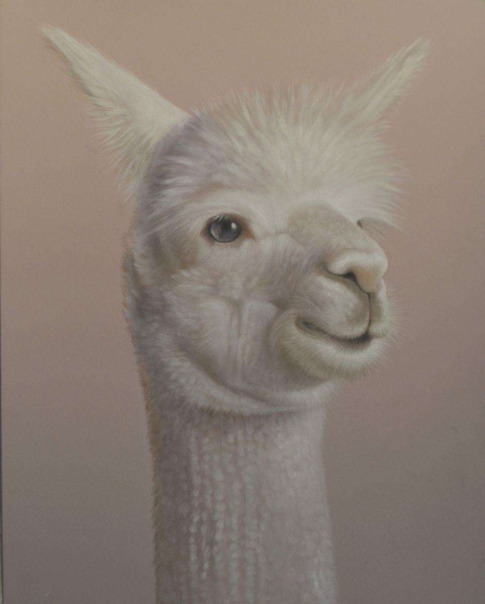 Alpaca Portrait by Debra Spence