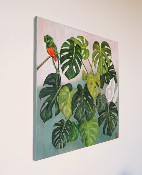 Monstera with Parrot