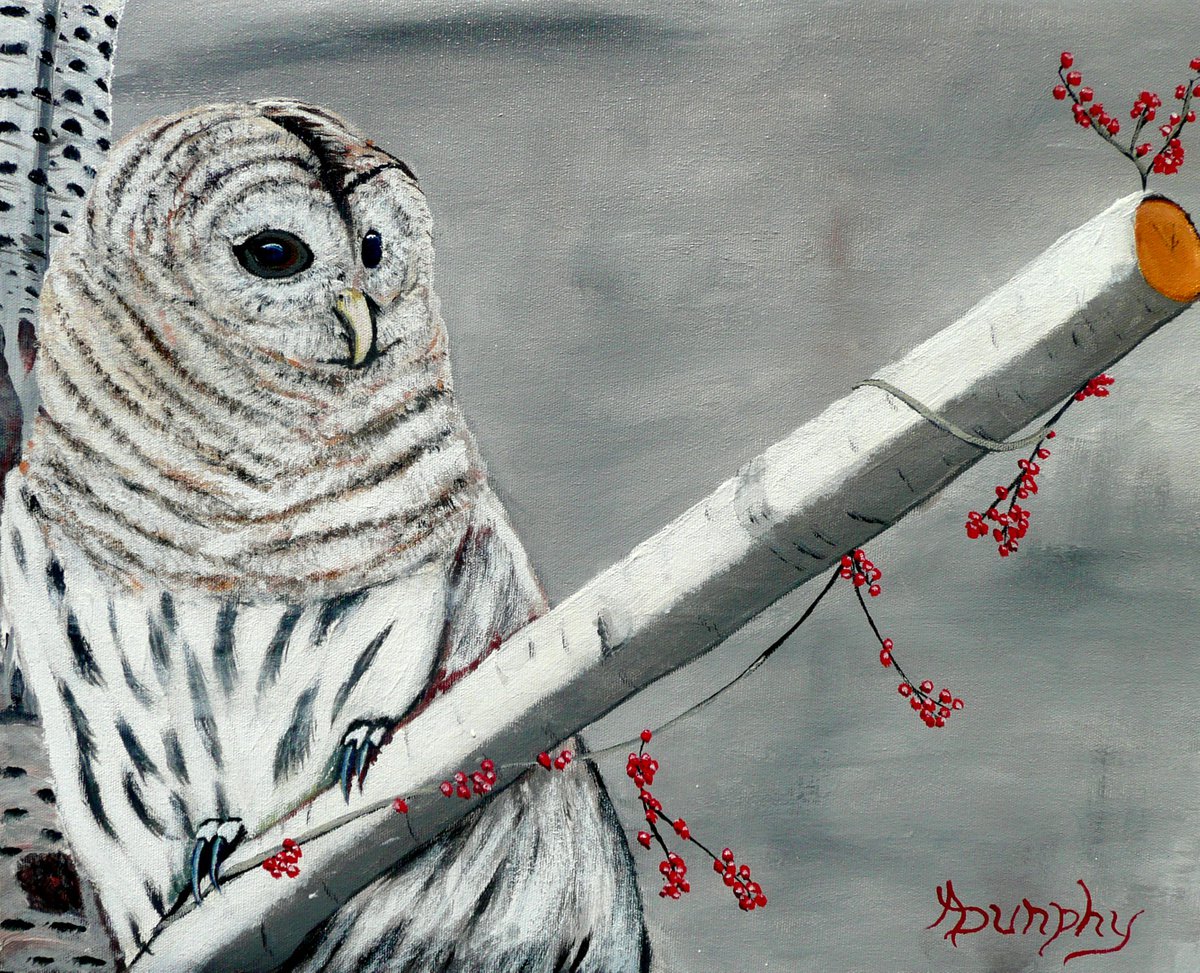 Snowy Owl by Dunphy Fine Art