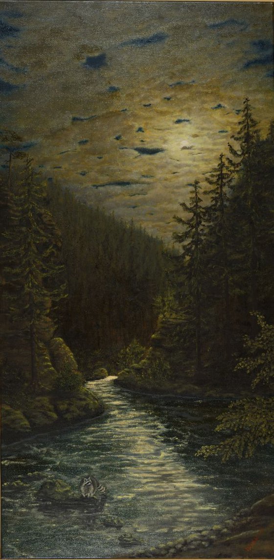 Raccoon by the river in the moonlight