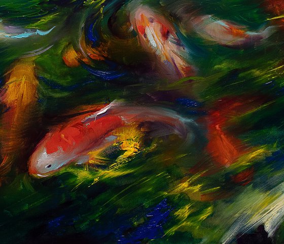 Koi fish in the pond