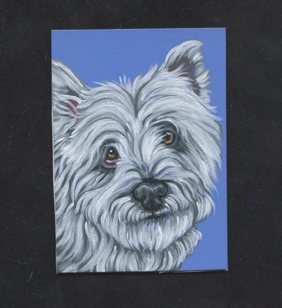 ACEO ATC Original Miniature Painting Westie West Highland Terrier Pet Dog Art-Carla Smale