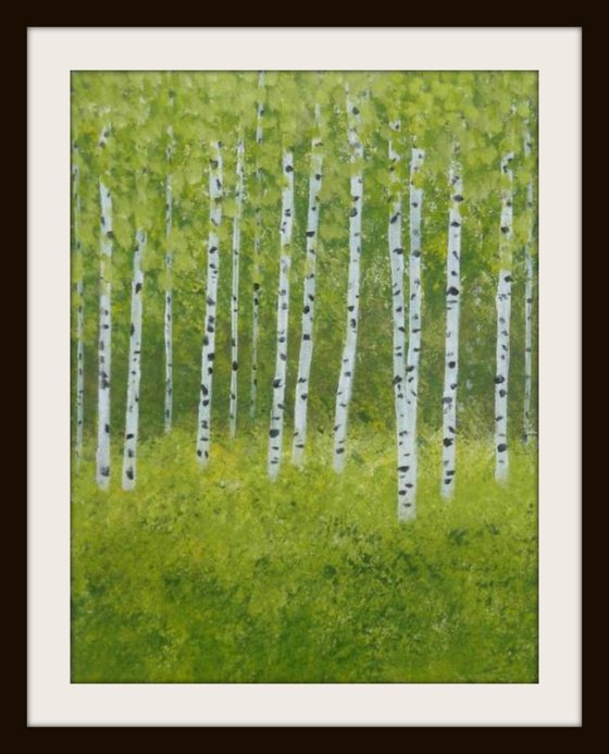 Silver Birch Trees 2