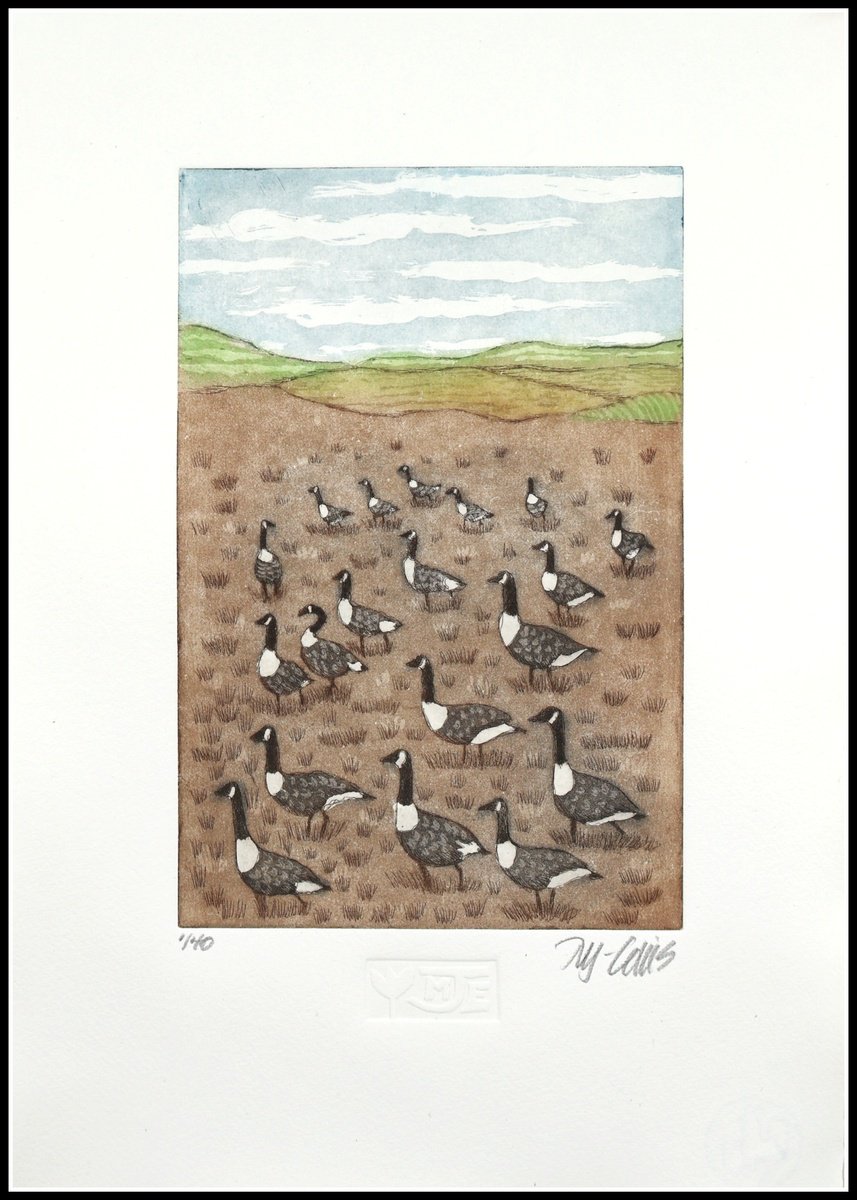 Illustrative Animal Etchings & Engravings By Mariann Johansen-Ellis, 9 X 12", Winter Camp With Canada Geese, Original Artwork