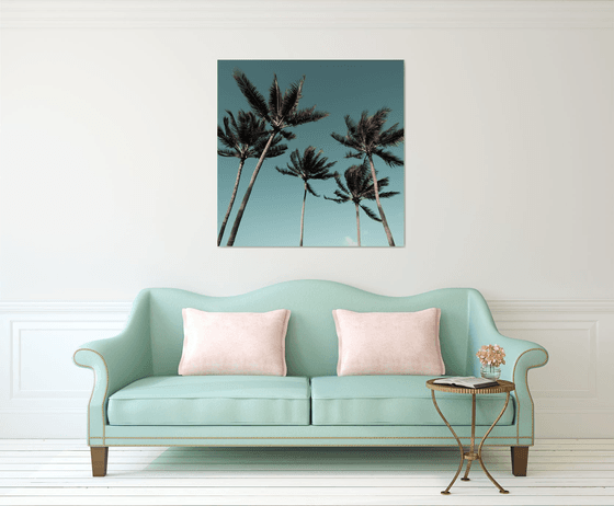 Palms