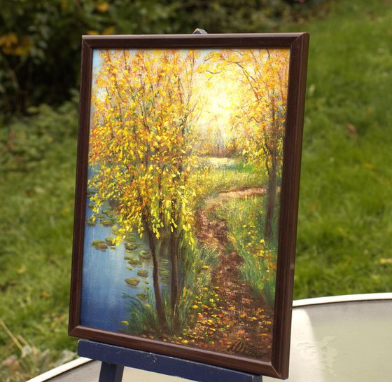 Autumn on the pond