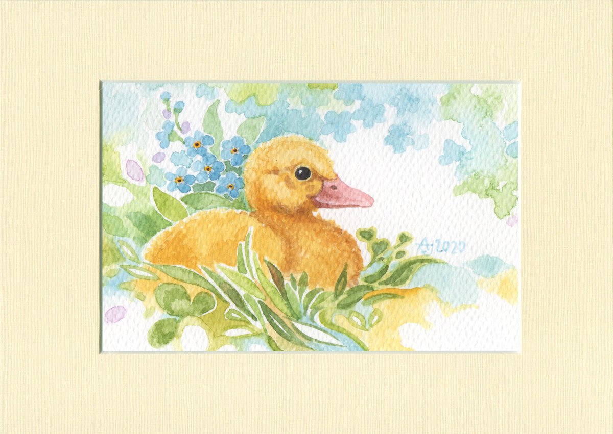 Spring is coming - Duckling by Jolanta Czarnecka