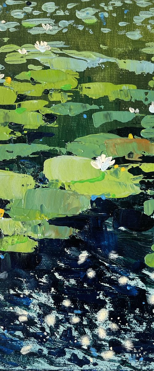 Water lilies. Symphony of wind, glare and water by Yevheniia Salamatina