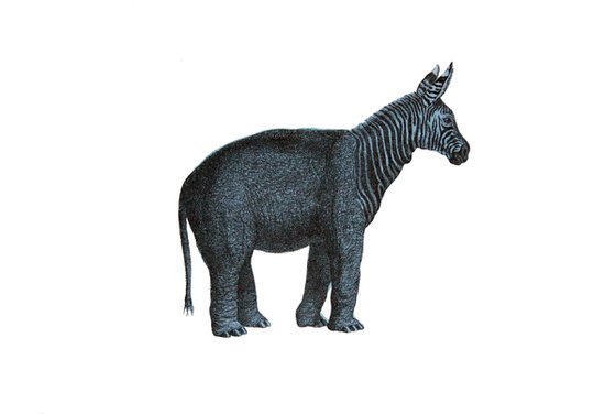 Zebraphant