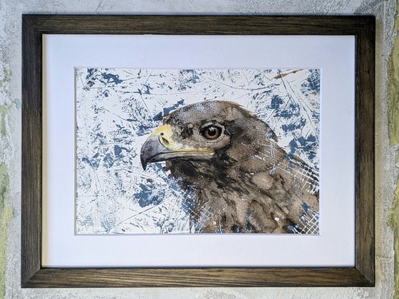Golden eagle mixed media