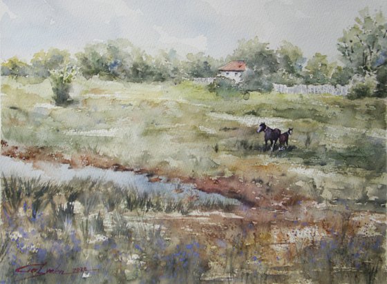A rural landscape with horses