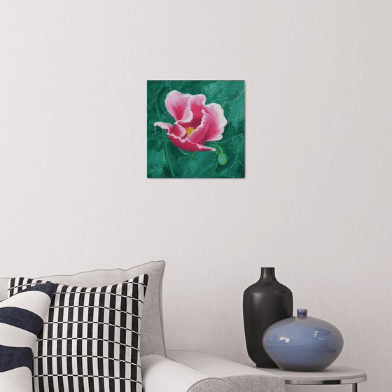 Pink Poppy - Flower portrait /  ORIGINAL PAINTING