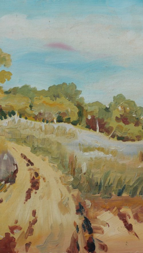 The road to the field by Yurii Pashkov