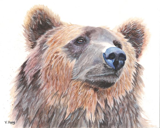 Grizzly bear portrait