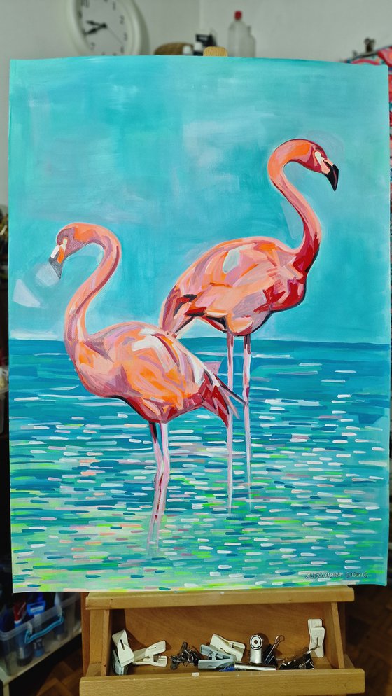 Flamingos