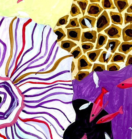 Maldives_corals-01