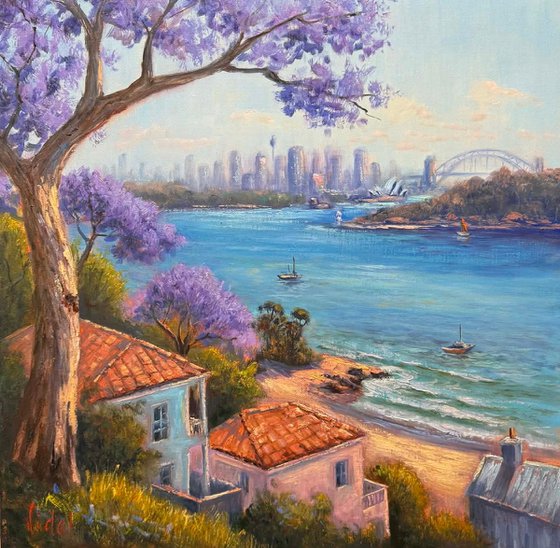 Morning Views Sydney