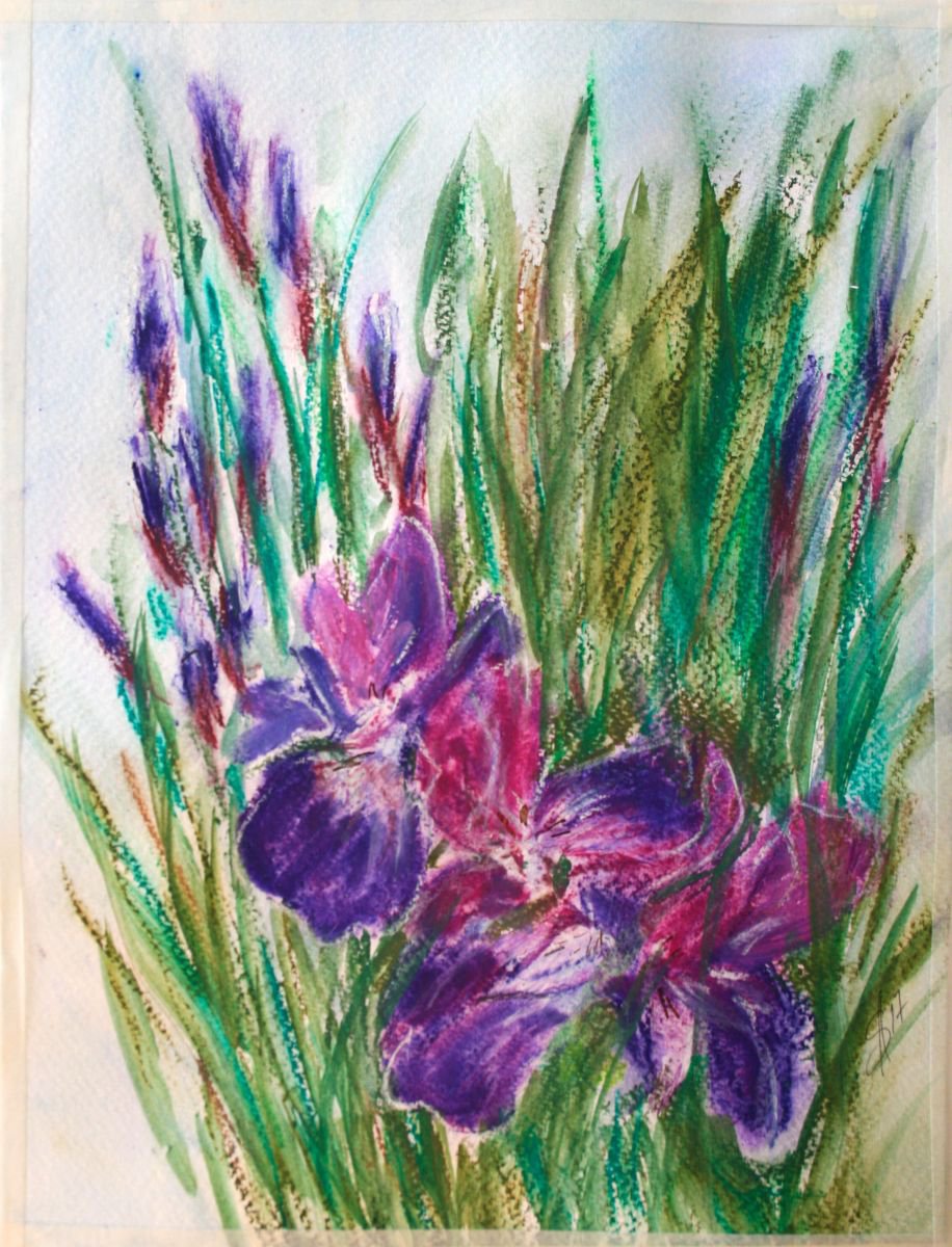 Iris flowers / Original Painting of Salana by Salana Art Gallery