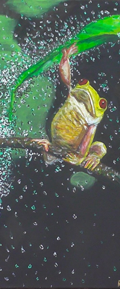 Froggy by Robbie Potter