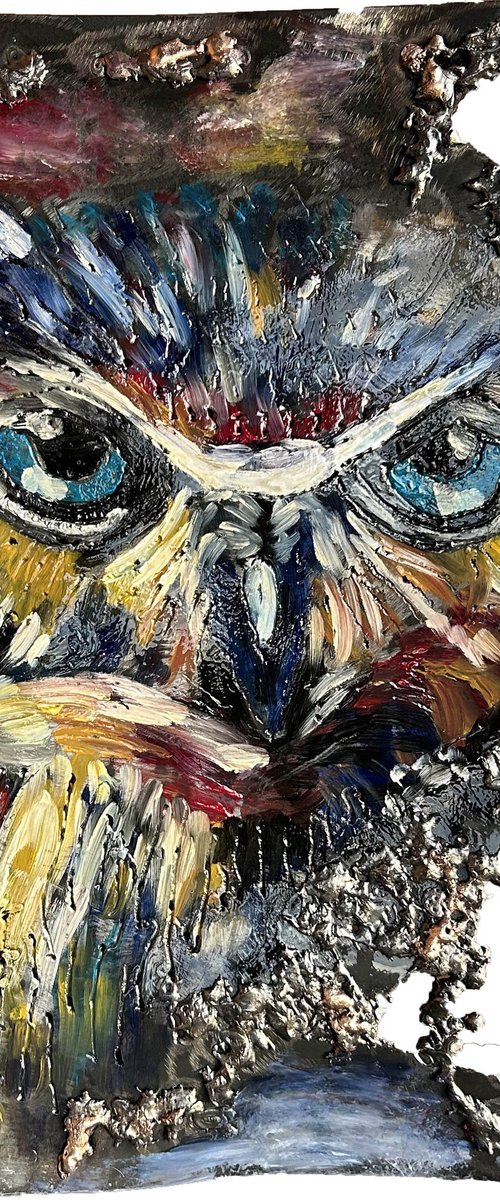 Wall sculpture - Tainbow owl by Philippe Buil