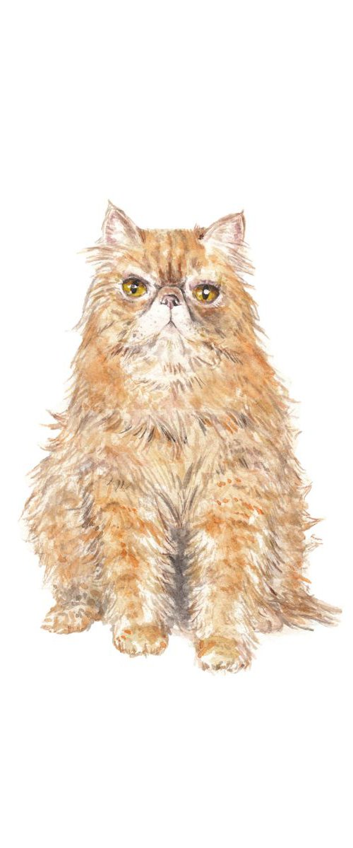 Persian Cat Original Watercolor by Lauren Rogoff