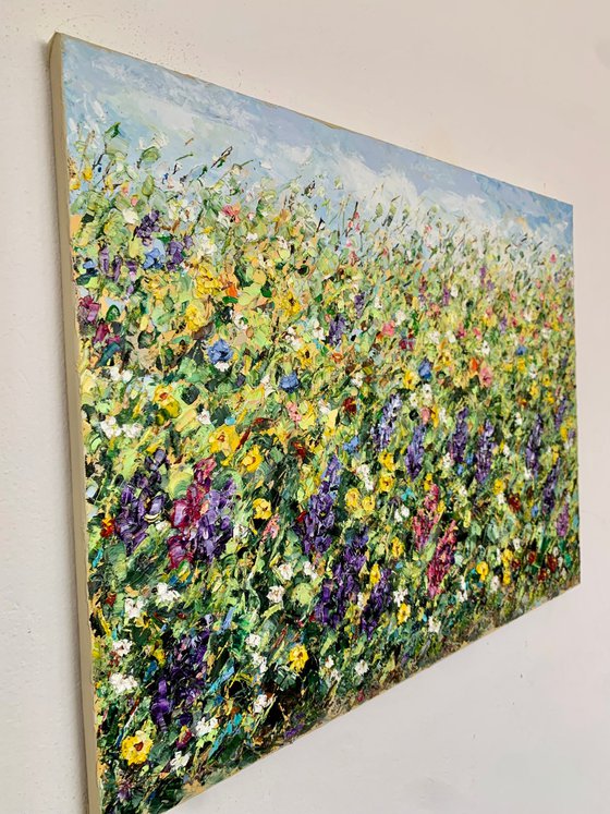 Field of blooming lupines