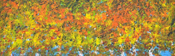 Autumn In Birch Trees 1