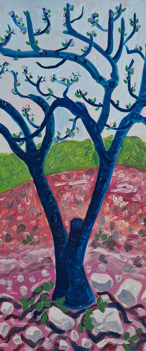 First Buds( Almond Blossom series) by Kirsty Wain