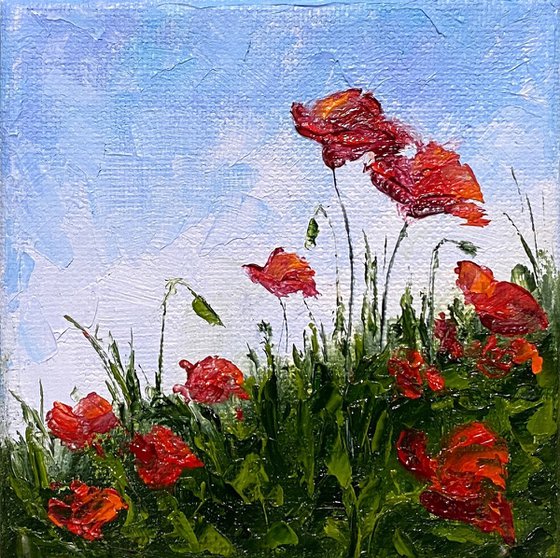 Poppies