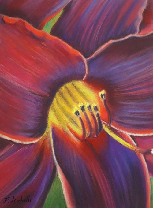 Red purple lily by Francesca Licchelli