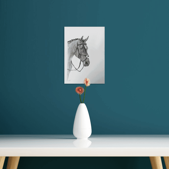 Horse drawing