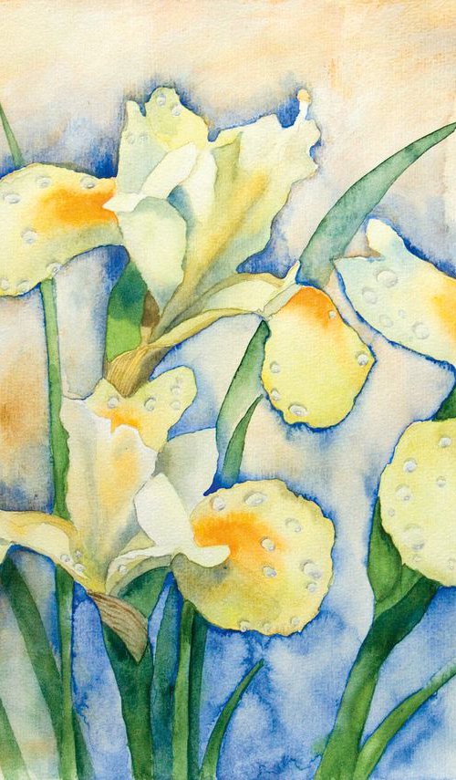 Irises by Anna Masiul-Gozdecka