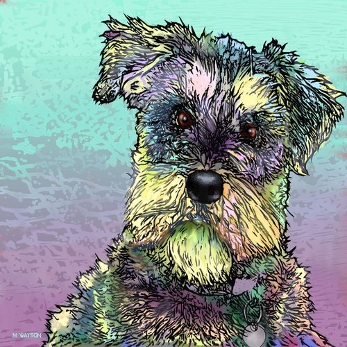 Schnauzer Dog by Marlene Watson