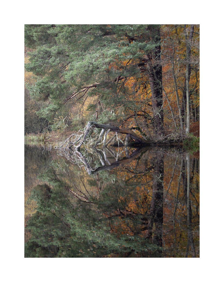 Monymusk Reflections I by David Baker