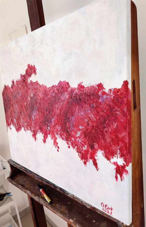 Bougainvillea full of hope