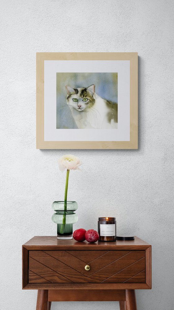 yellow and white cat