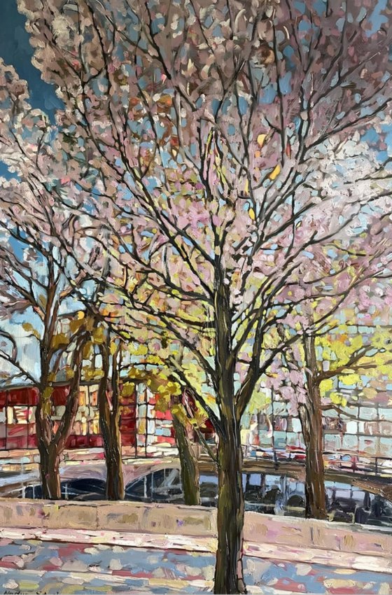 Blooming on Eiriks gate