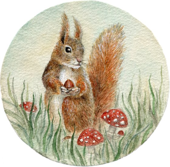 squirrel with amanitas