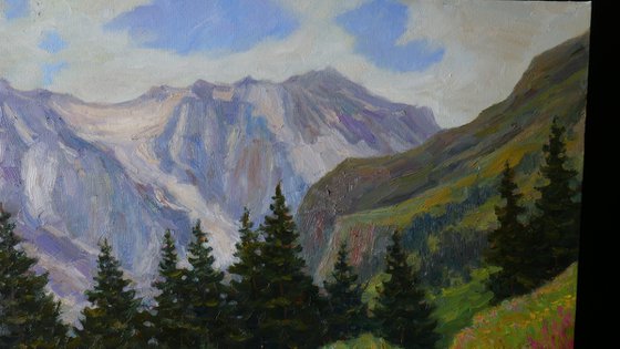 Summer In The Mountains