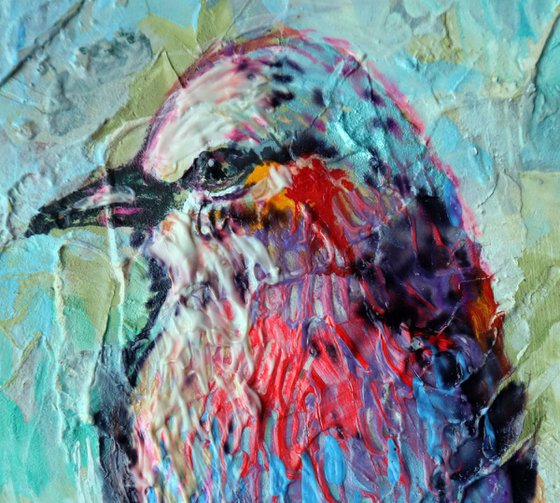 BIRD 5