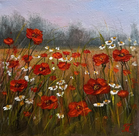 Collection of Delicate Flowers - Red poppies