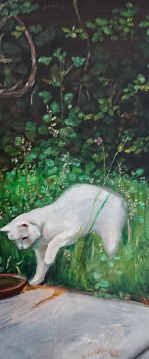 Cat in the garden by Viktória Déri