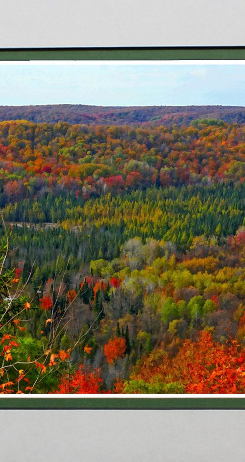 Michigan Fall Colours by Robin Clarke