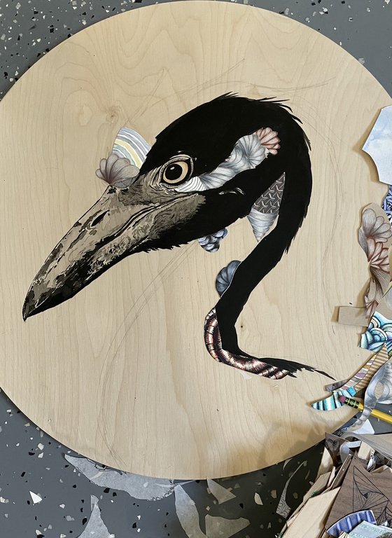 Animals - commissions and pet portraits