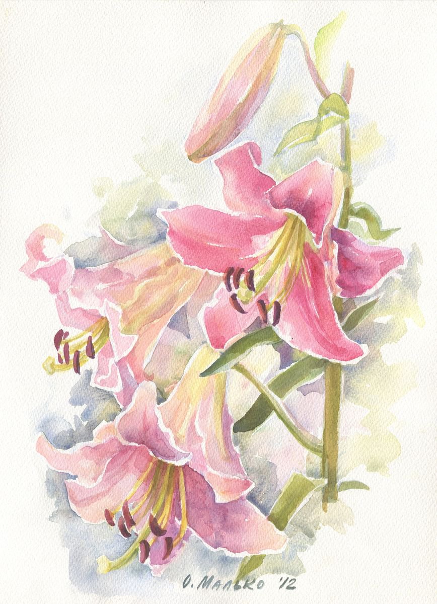 Impressionistic Watercolour , Pink Lily By Olha Malko, 11 X 15, Artwork For Sale On Artfinder