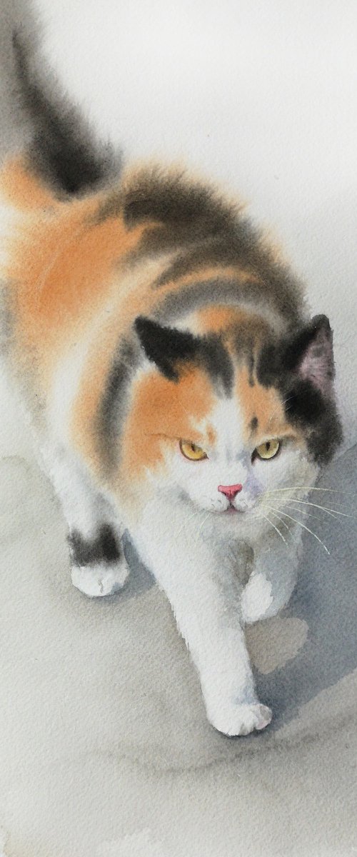Confident Calico by Olga Beliaeva Watercolour